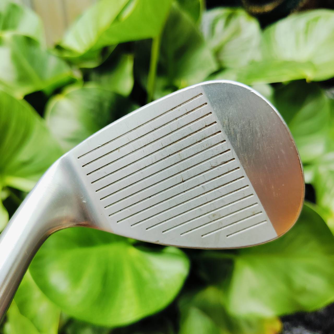 WEDGE FOURTEEN RM4 องศา 54 ก้าน NS PRO T610 WEDGE FLEX . Fourteen แบรนด์ที่ขึ้นชื่อเรื่องการทำเวดจ์มาอย่างยาวนาน โดยเฉพาะการเป็นเวดจ์ที่สปินแบบตกหยุดดังใจ ไม้กอล์ฟพรีเมี่ยมมือสอง ของแท้ By NakaraLuxurious