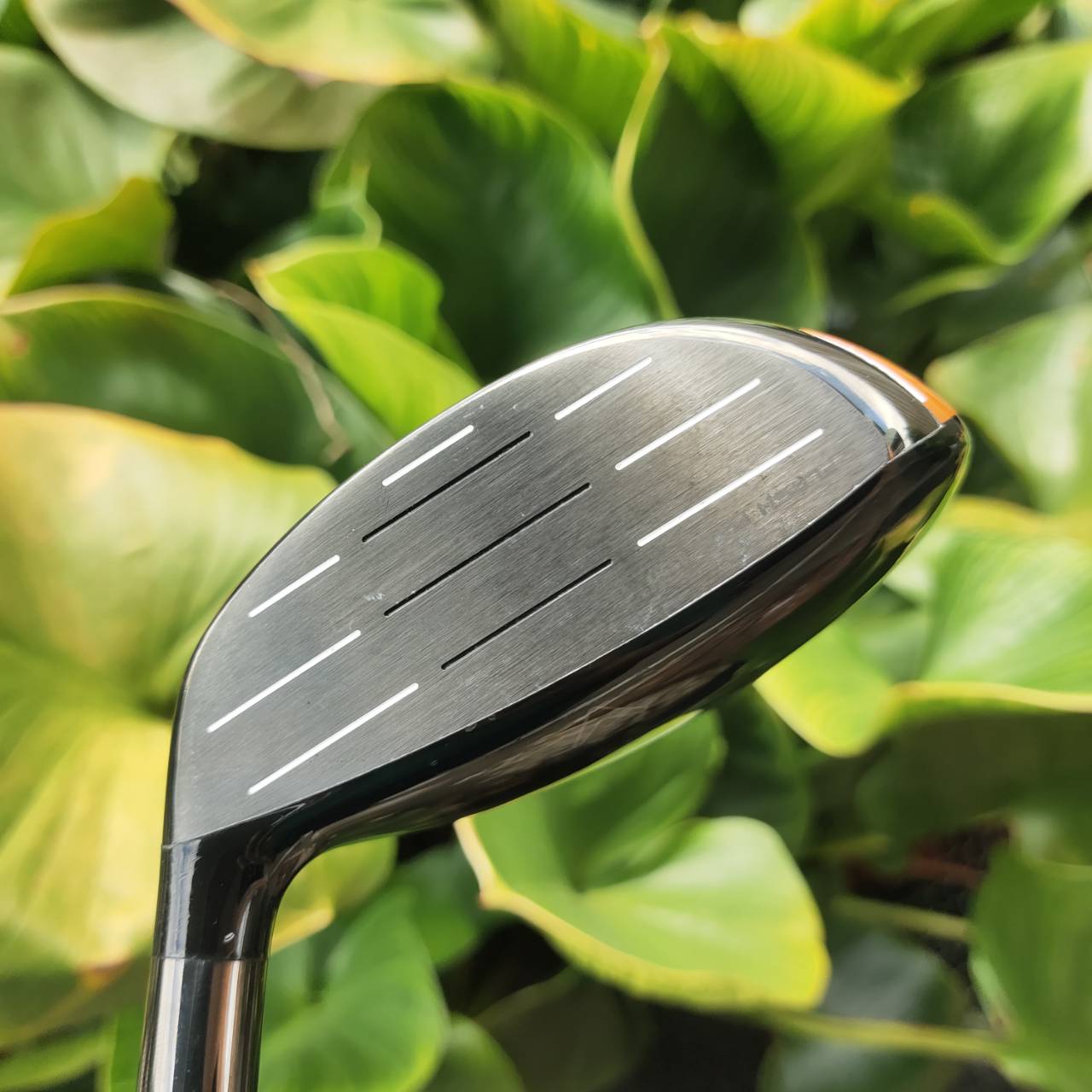 5W – CALLAWAY MAVRIK MAX รุ่นตีง่าย หน้าเด้ง ฟอร์กีฟเยอะ เหมาะกับทุกระดับฝีมือ!