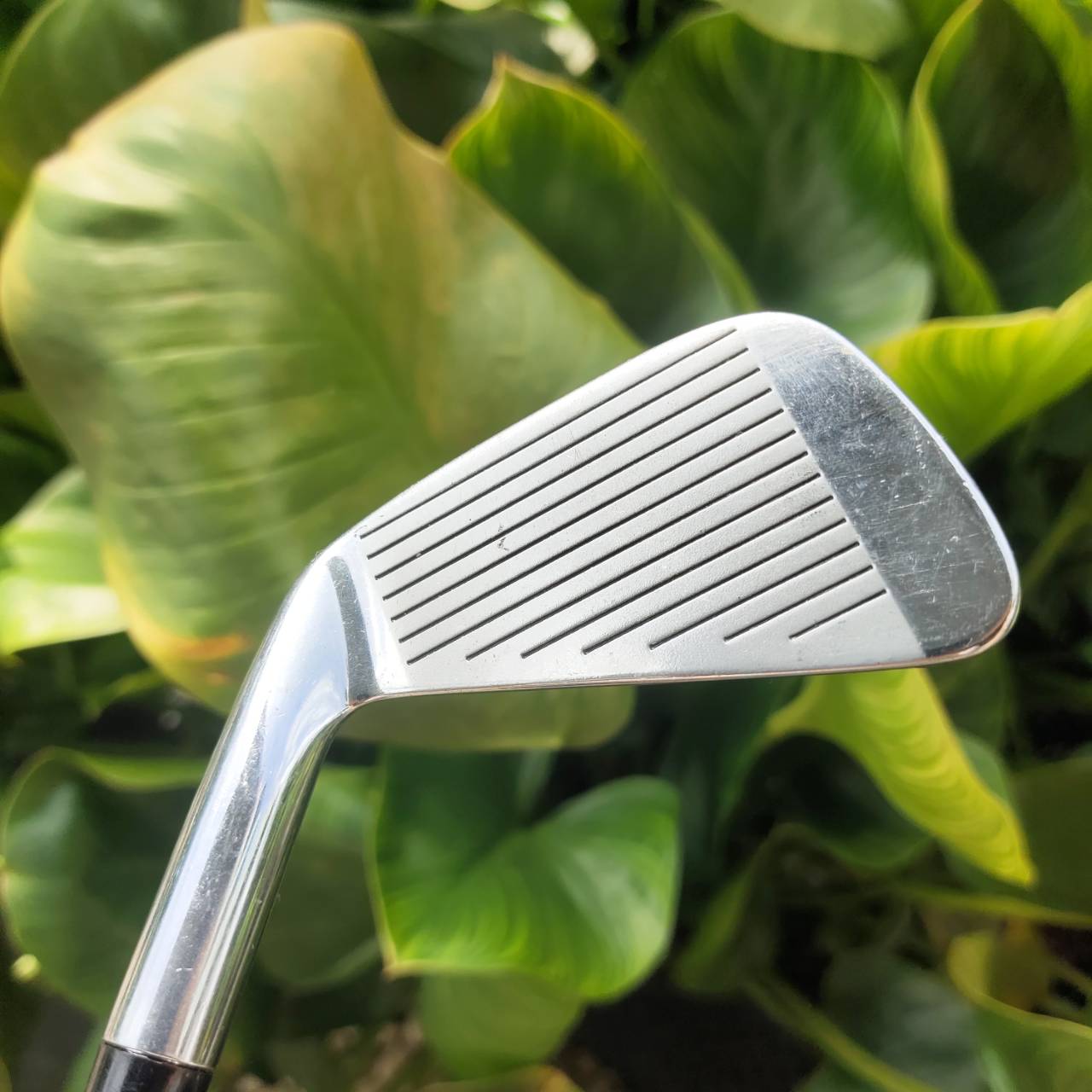 เหล็ก 1 GOLDEN RAM TOUR GRIND AXIAL แบรนด์อเมริกันที่มีประวัติยาวนาน Forged แบบ “Tour Grind Axial”