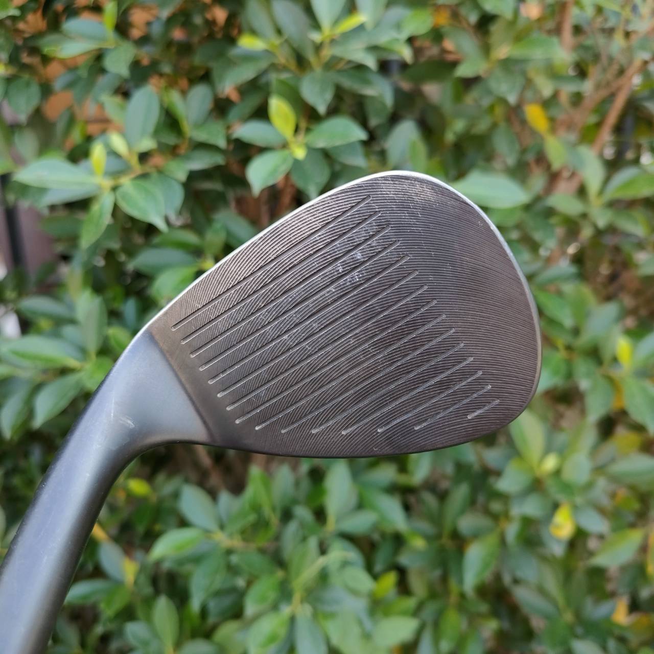 WEDGE BLACK MILLED FACE หน้าสปินแบบจัดๆ มันส์ๆ ครับ องศา 56 BOUNCE 12