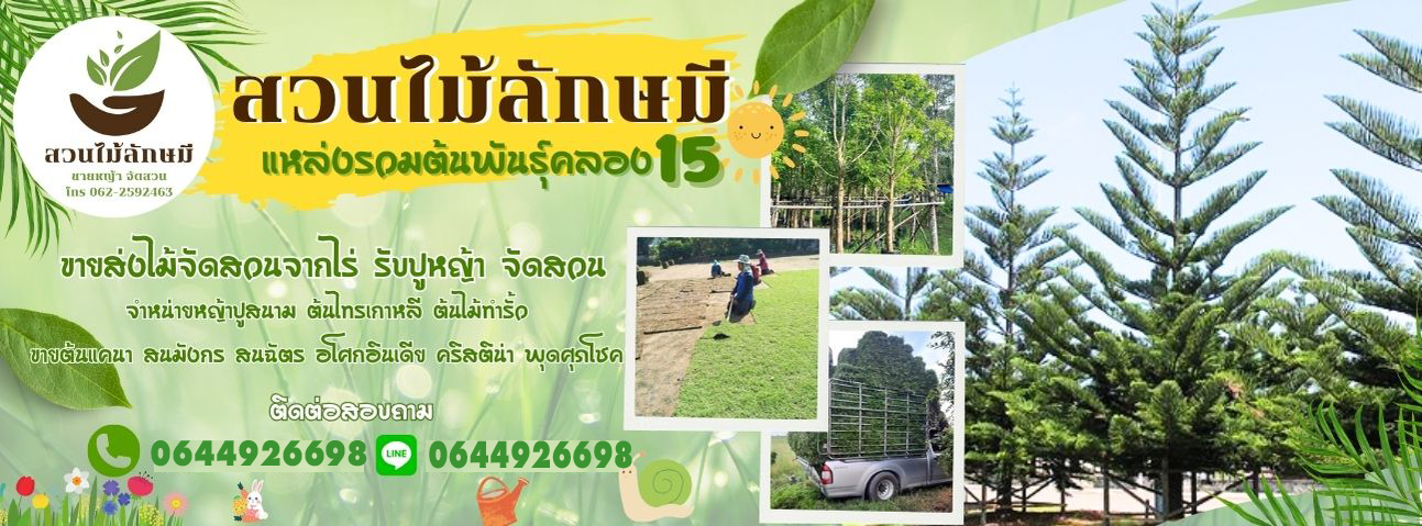 รับปูสนามหญ้า