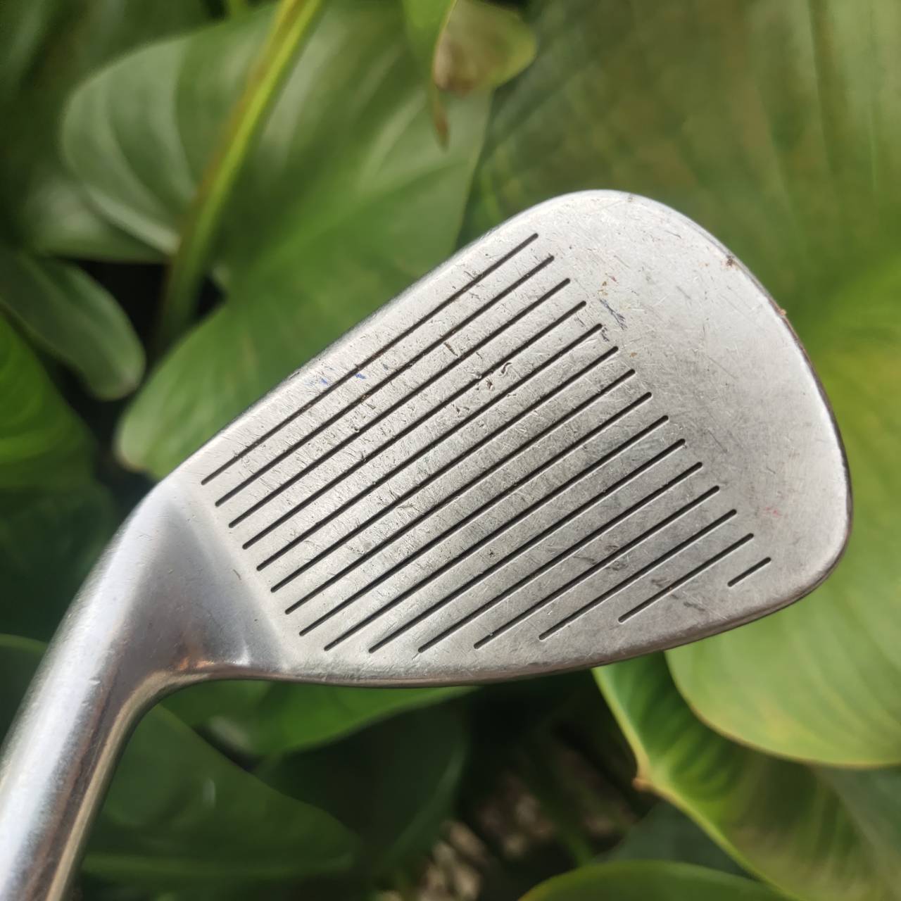 ชุดเหล็ก Titleist DCI 981 รุ่นดังยอดนิยม ก้านดีมาก!!! RIFLE 5.5 ตีสนุกมาก!!!