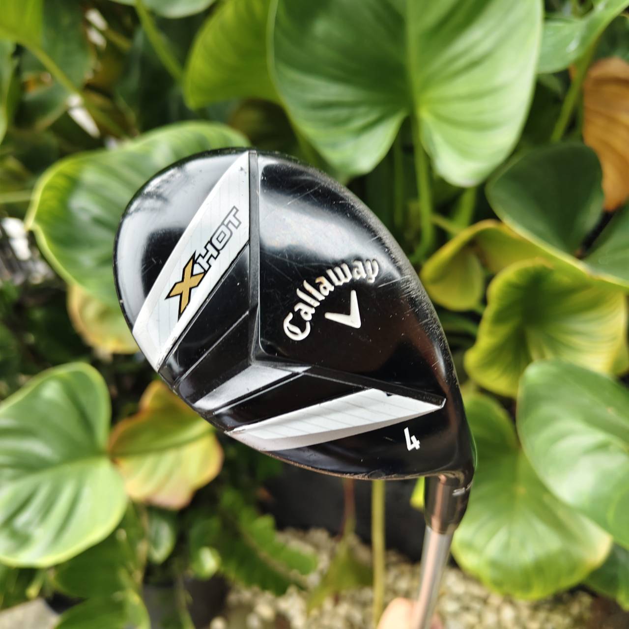 U4 Callaway X-HOT – ตัวแรง ตีง่าย พุ่งไกลแบบไม่ง้อเหล็กยาว!