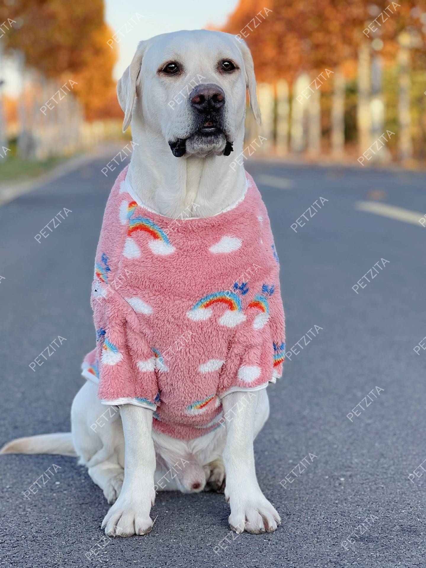 🇹🇭พร้อมส่ง🇹🇭 🐶🐕 เสื้อผ้าสำลีขนปุยนุ่มนิ่ม สำหรับ สุนัขพันธุ์กลาง ถึง หมาใหญ่