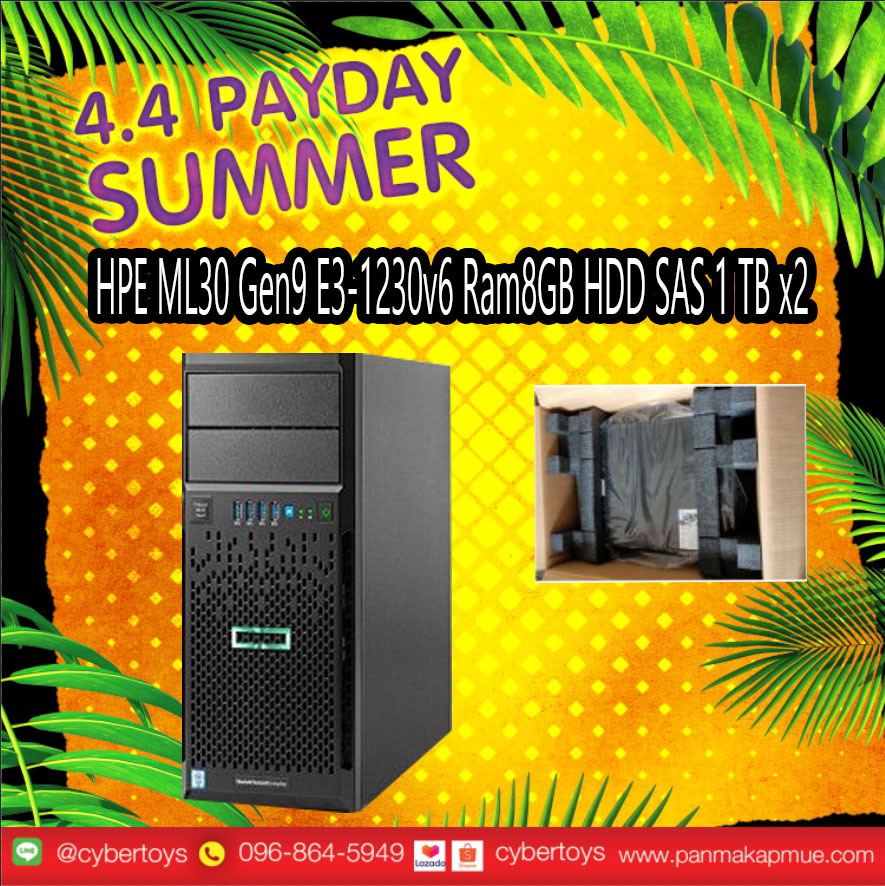 HPE ML30 Gen9 E3-1230v6 Ram8GB HDD SAS 1 TB x2