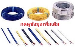 สายเทอร์โมคัปเปิ้ล Thermocouple Wire