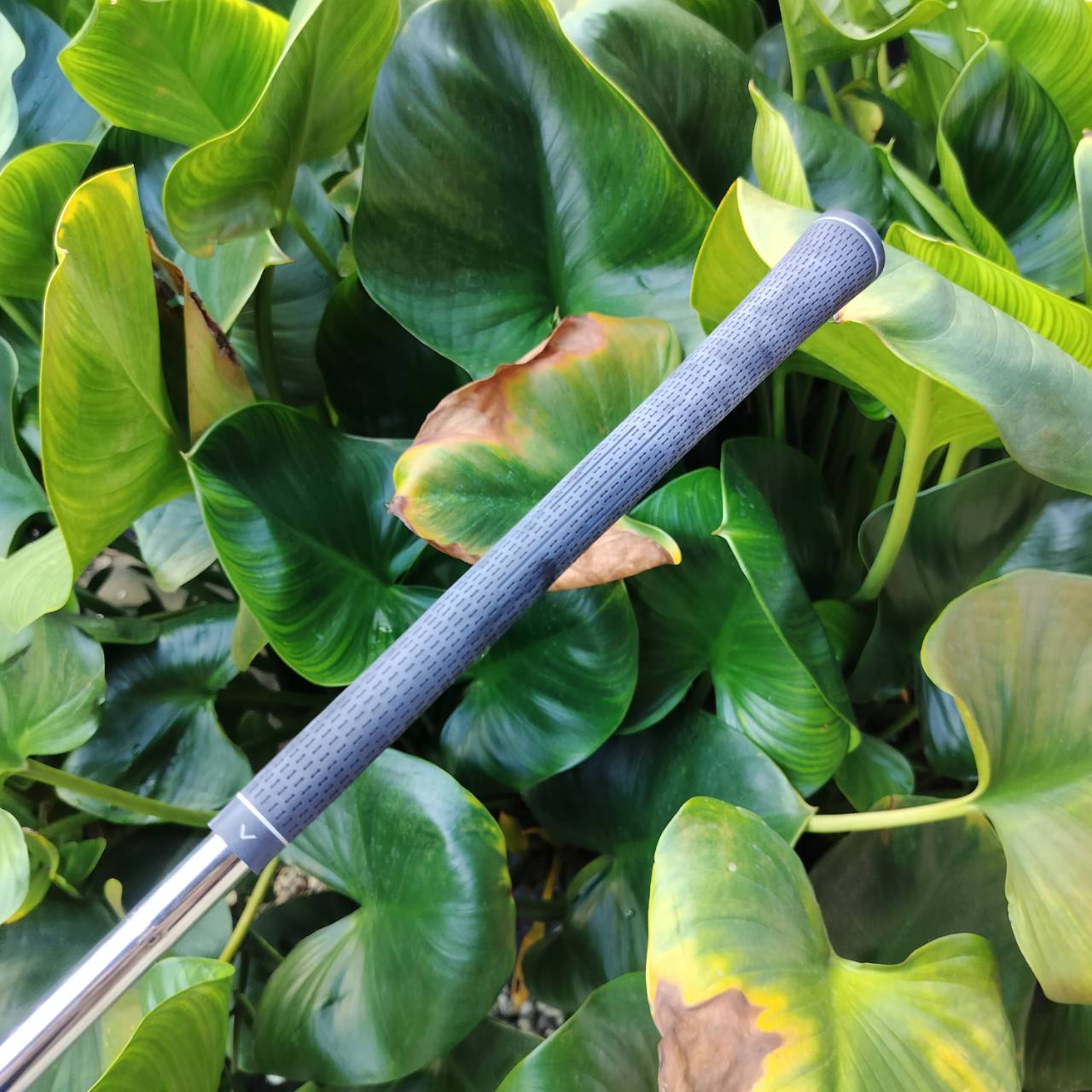 ไม้เหล็ก 7 รุ่น INESIS 100 จาก Decathlon เป็นตัวเลือกยอดนิยมสำหรับนักกอล์ฟมือใหม่ ไม้กอล์ฟพรีเมี่ยมมือสอง ของแท้ By NakaraLuxurious