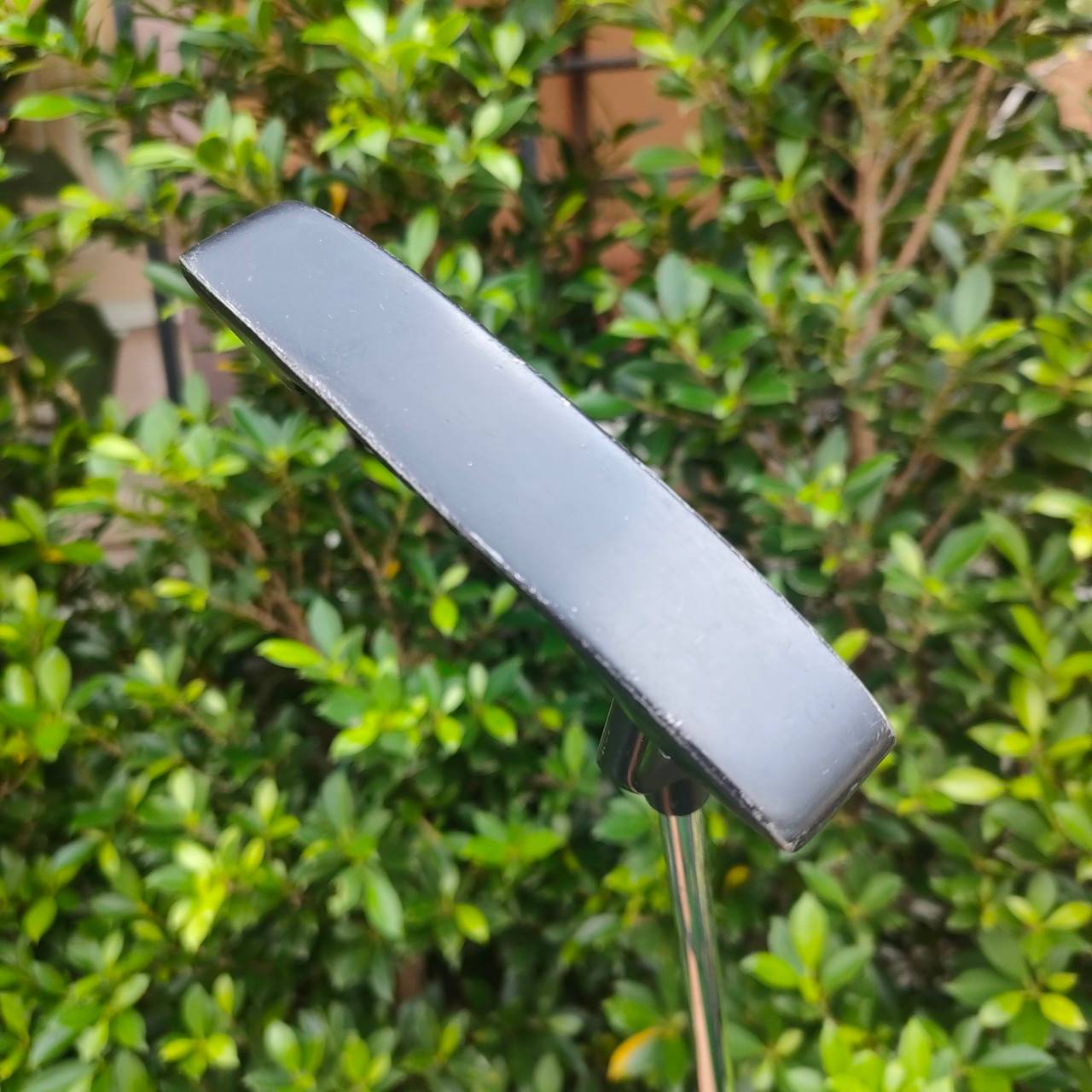 PUTTER TRI EYE ความยาวของไม้ 34 นิ้ว ทรงสแตนดาร์ด พัตต์ง่าย หน้ายาว แม้พัตต์ไม่ตรงกลาง แบบเป๊ะๆ แต่ลูกก็ยังหมุนตรงดี