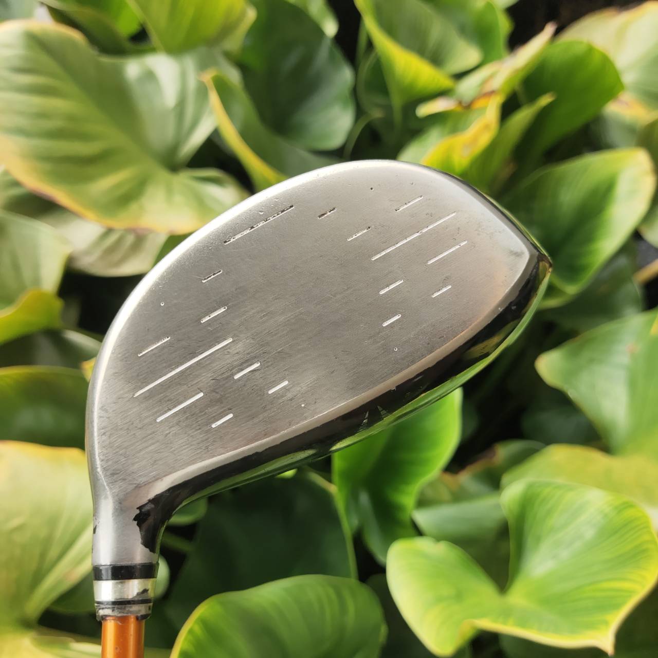 DRIVER XXIO 8 รุ่นเหลี่ยมเพชร รุ่นนี้ตีดีสุดๆ XXIO เป็นหัวไม้ที่ติดรางวัล อันดับ 1 ในญี่ปุ่น