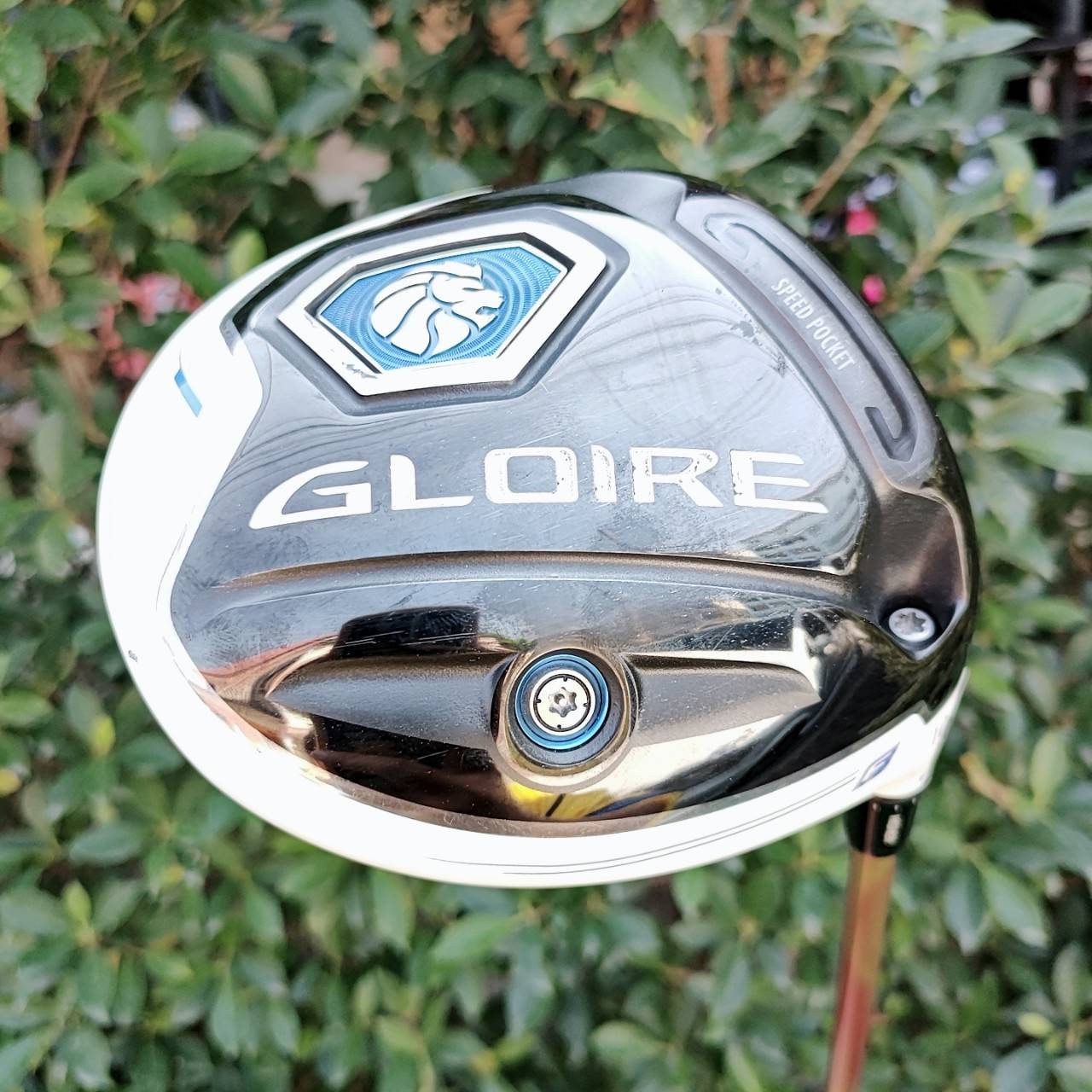 DRIVER TAYLORMADE GLOIRE SPEED POCKET องศา 10 ก้าน FUJIKURA SPEEDER 569 EVOLUTION II FLEX SR