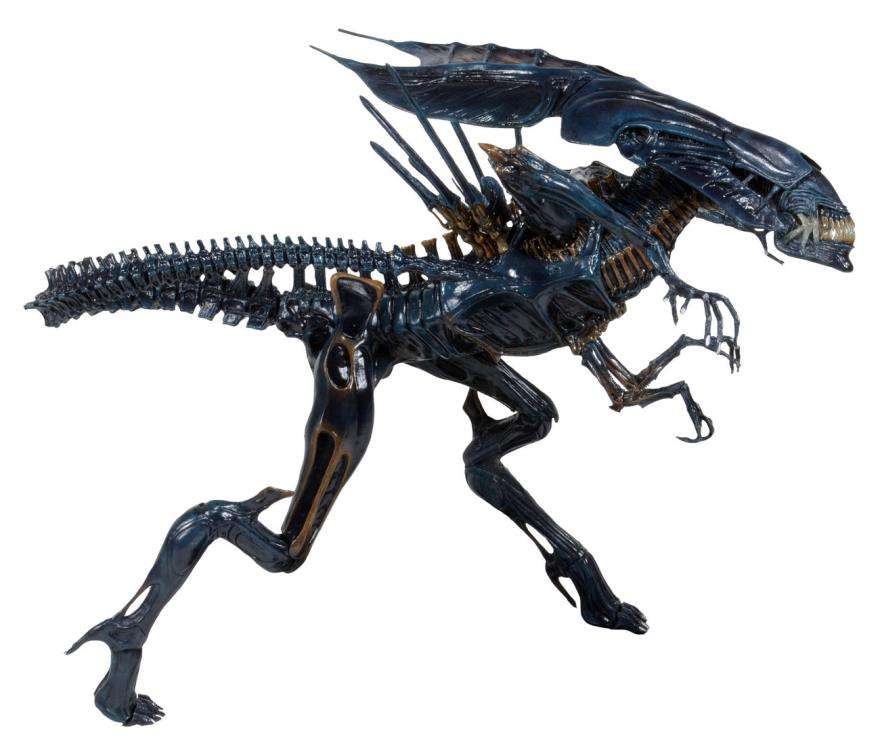 [สั่งจอง] Neca : Alien [Reissue]