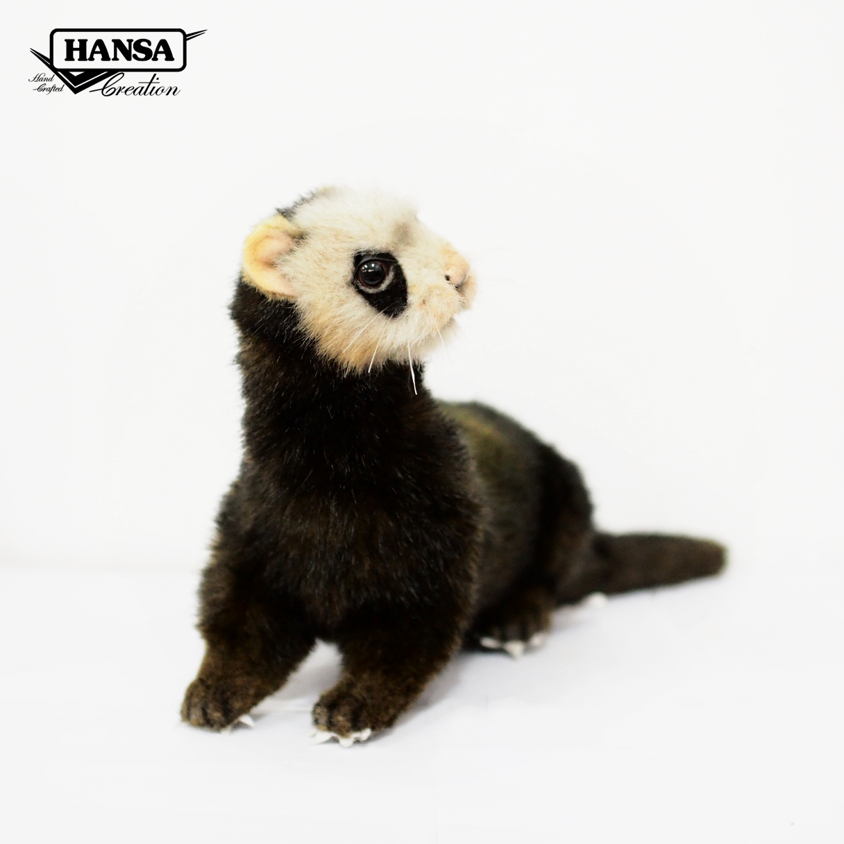 7827 European Polecat 41 cm. L