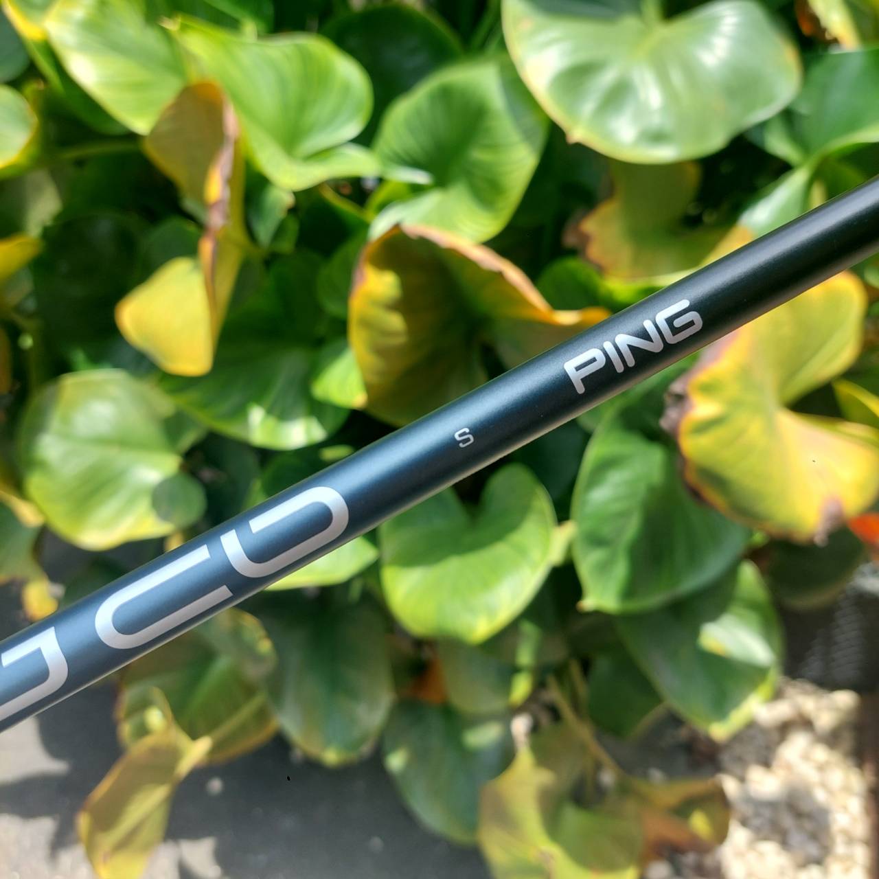 Driver PING G410 SFT ขจัด Slice และตีตรงด้วยเทคโนโลยีระดับพรีเมียม