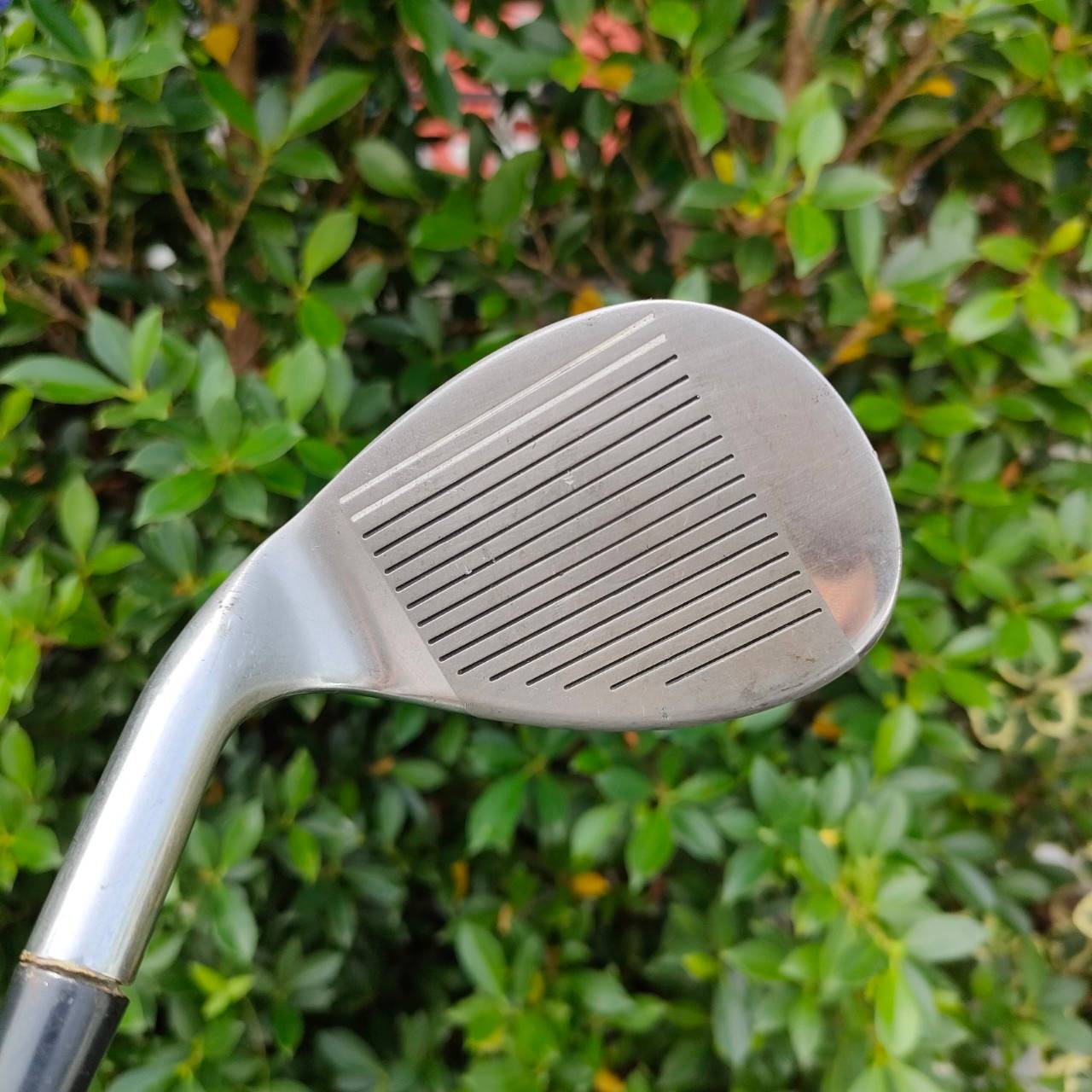 WEDGE DUNLOP VENGEANCE FLEX WEDGE องศา 52 ใบใหญ่ ชิพง่าย สปินดีจ้า