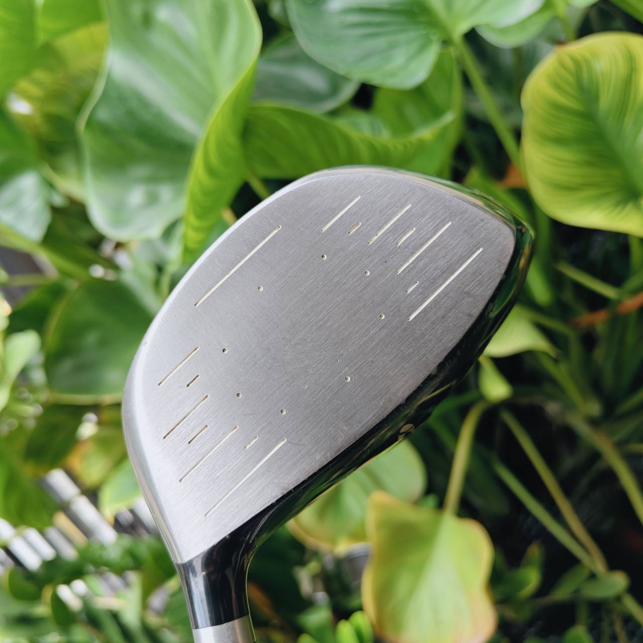 HONMA TWIN MARK 808RF CARBONIUM ⭐️⭐️ ก้าน 2 ดาว FLEX R