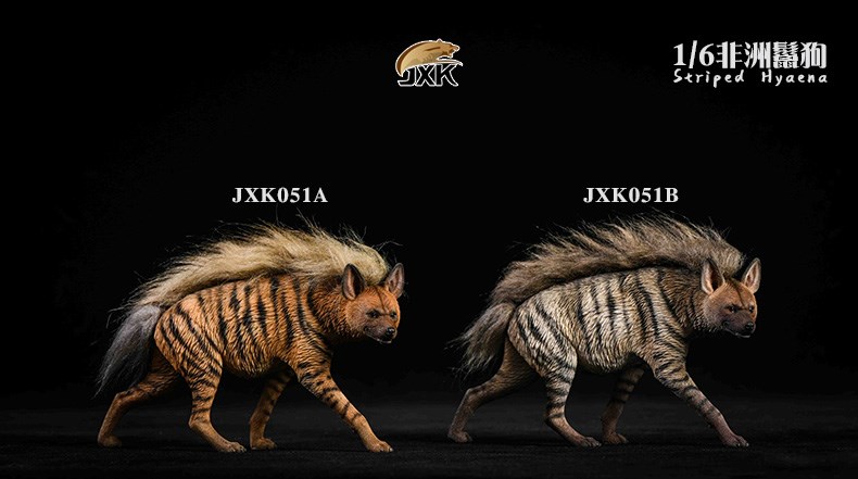 [สั่งจอง]JXK JXK051 1/6: Striped Hyaena