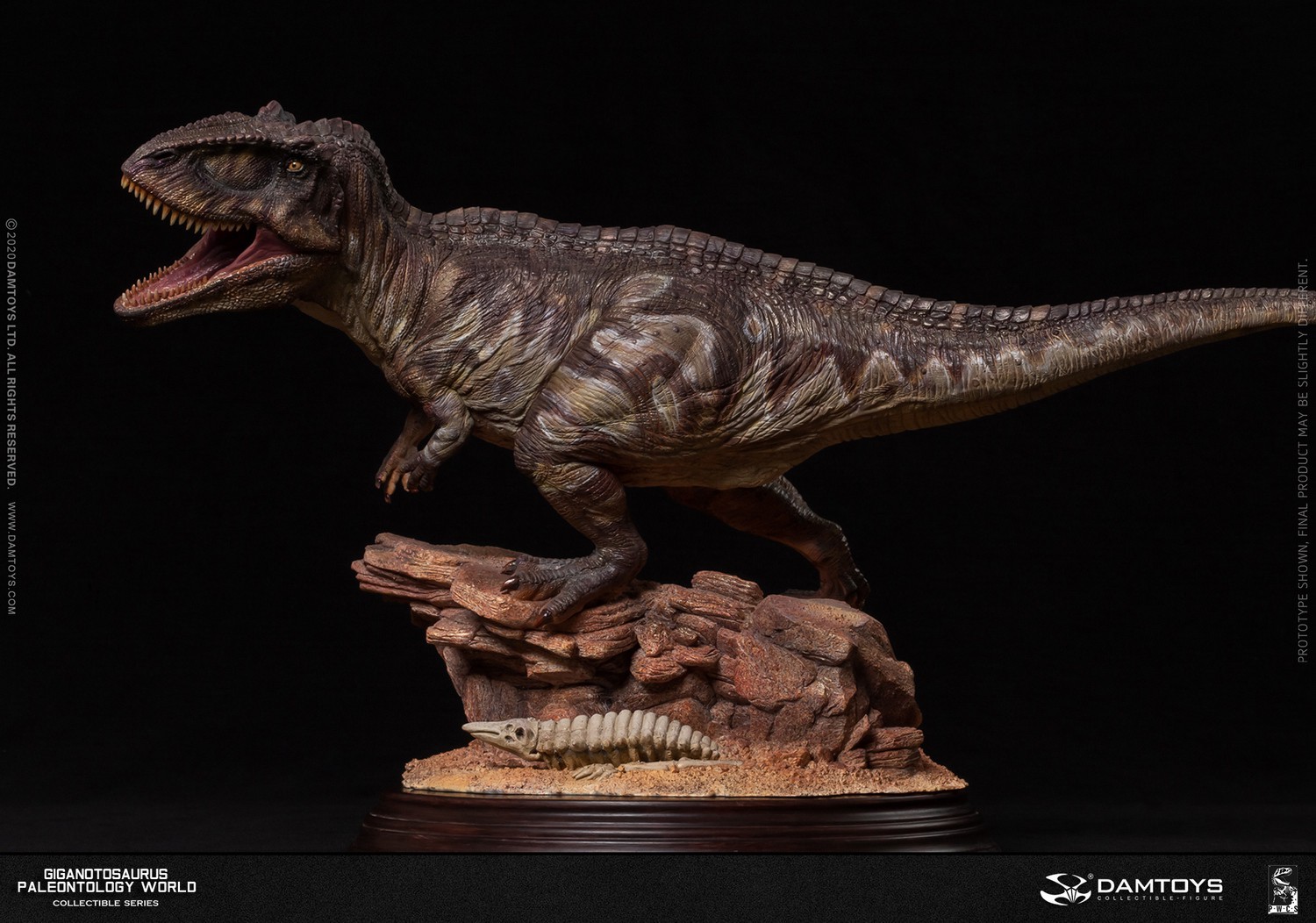 [สั่งจอง] DAMTOYS MUS014 1/25 Museum Collection Series New Item – Giganotos