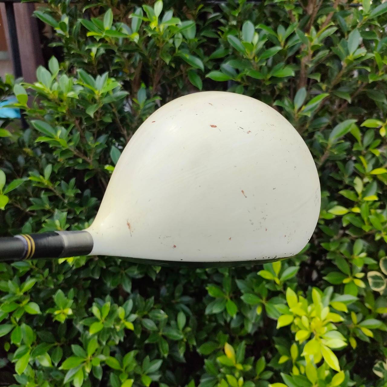* ไม้กอล์ฟมือซ้าย * DRIVER TAYLORMADE R7 SUPERQUAD ก้าน R.I.P PHENOM FLEX R องศา 9.5 หัวนี้ตีไกลมากๆ เสียงเพราะ ตีมันส์ ก้าน ALDILA RIP ตัวนี้คือมันส์สุดๆครับ