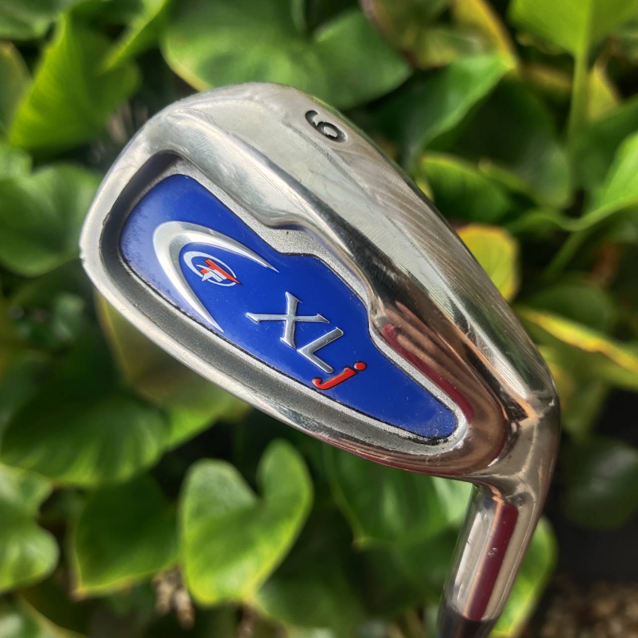 ชุดกอล์ฟเด็ก TOP FLITE XLj เหมาะกับเด็กที่มีส่วนสูงประมาณ: 🔸 135–145 ซม.