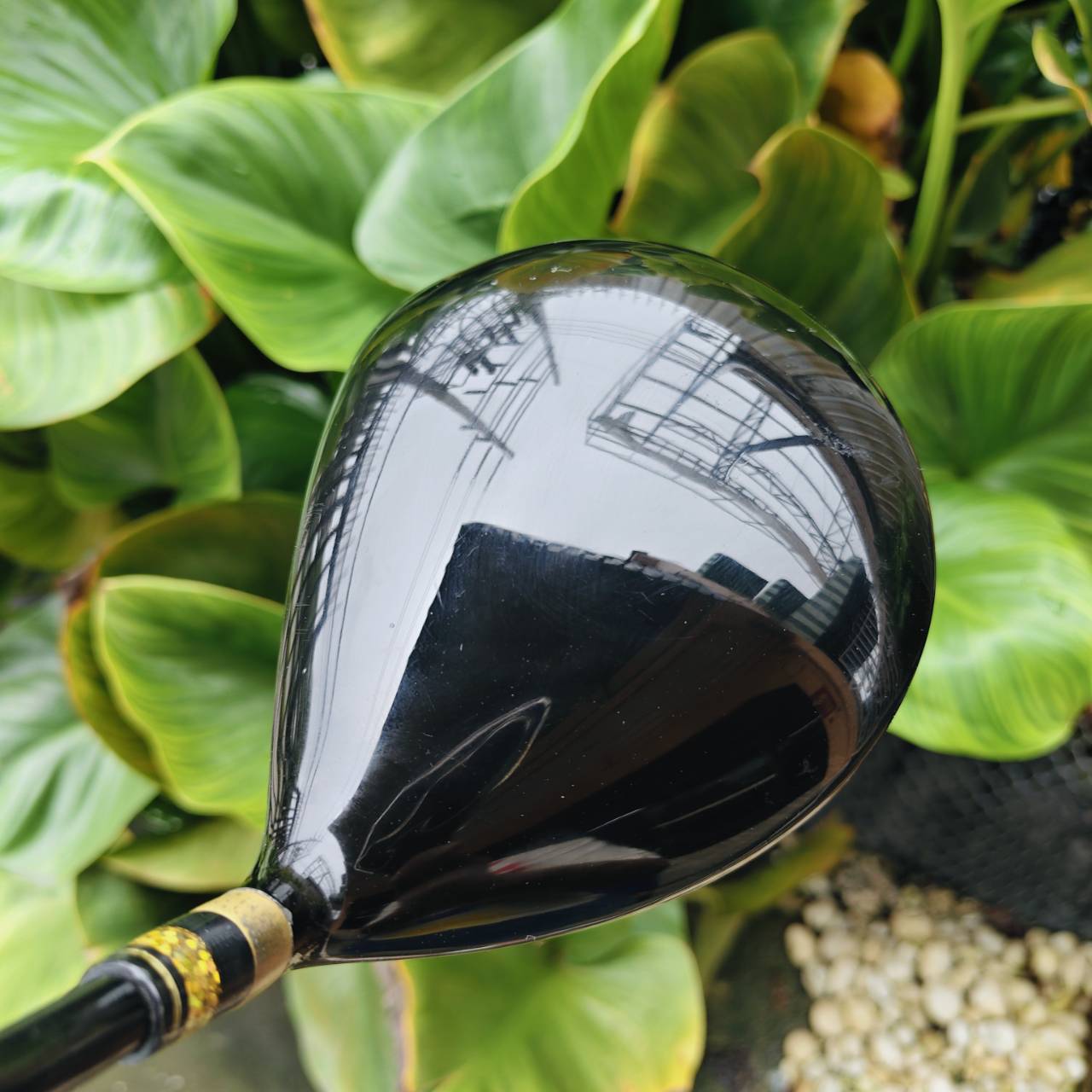 Driver Mutsumi Honma MH488X → High COR Face (หน้าเด้ง) ตีโดนตรงหรือขอบหน้าไม้ยังได้ระยะใกล้เคียงกัน