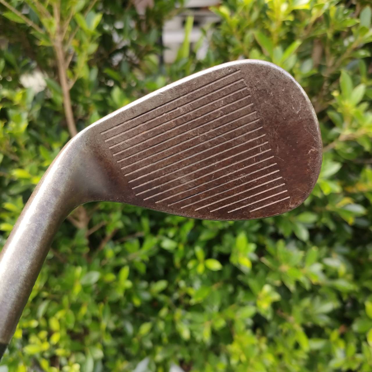 WEDGE NIKE VR FORGED องศา 60 BOUNCE LOW ระเบิดทรายดีมากๆ ฟล๊อปช๊อต ก้าน DYNAMIC GOLD S200 แม่นยำ เหมาะกับ WEDGE เนื้อเหล็กนุ่มแท้ สนิม สปินจัด ความรู้สึกดีมาก