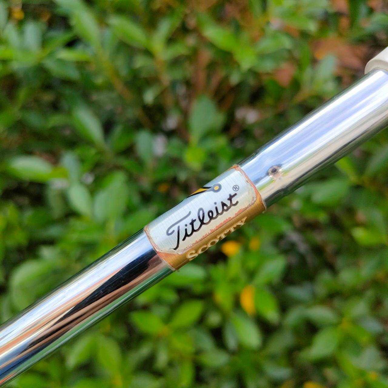 PUTTER SCOTTY CAMERON NEWPORT TE I3 Teryllium ความยาว 35 นิ้ว COVER แท้ สวยนางฟ้าเลยจ้าาา