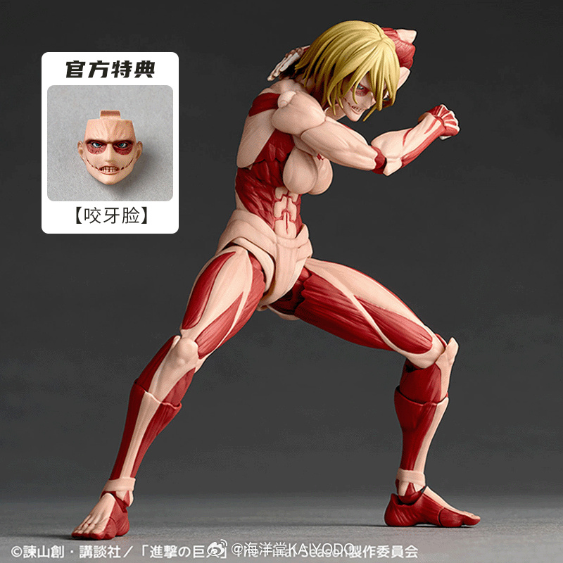 [สั่งจอง]Kaiyodo Amazing Yamaguchi : Attack on the Titan [Bonus Ver.] (Reissue)
