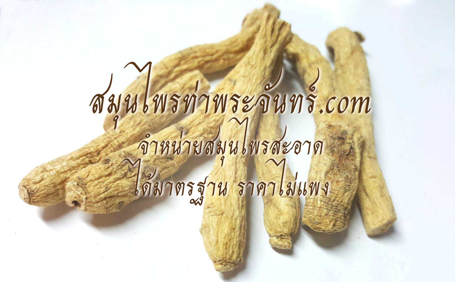 Dried Ginseng / Panax/ Korean ginseng/ Asian ginseng