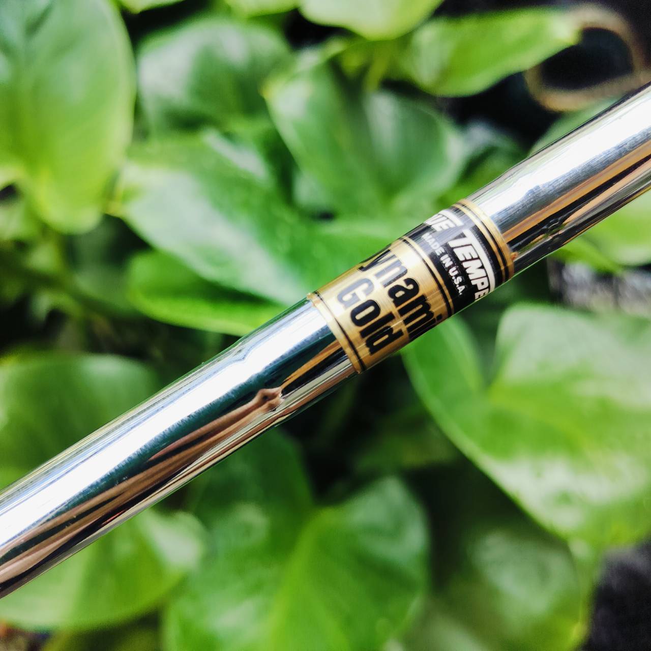 เหล็ก 5 KING COBRA FORGED SS ก้าน DYNAMIC GOLD S300 แม่นยำเป้าหมาย ใบ FORGED พรีเมี่ยม ให้ความนุ่มนวล หนักแน่น ฟีลลิ่งสุดพิเศษ ไม้กอล์ฟมือสอง ของแท้ By NakaraLuxurious