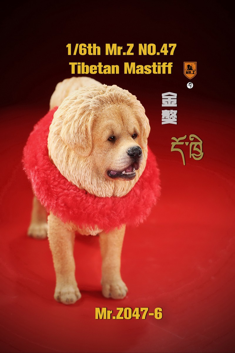 [สั่งจอง] MR. Z Animal Model MRZ047 1/6th Tibetan Mastiff