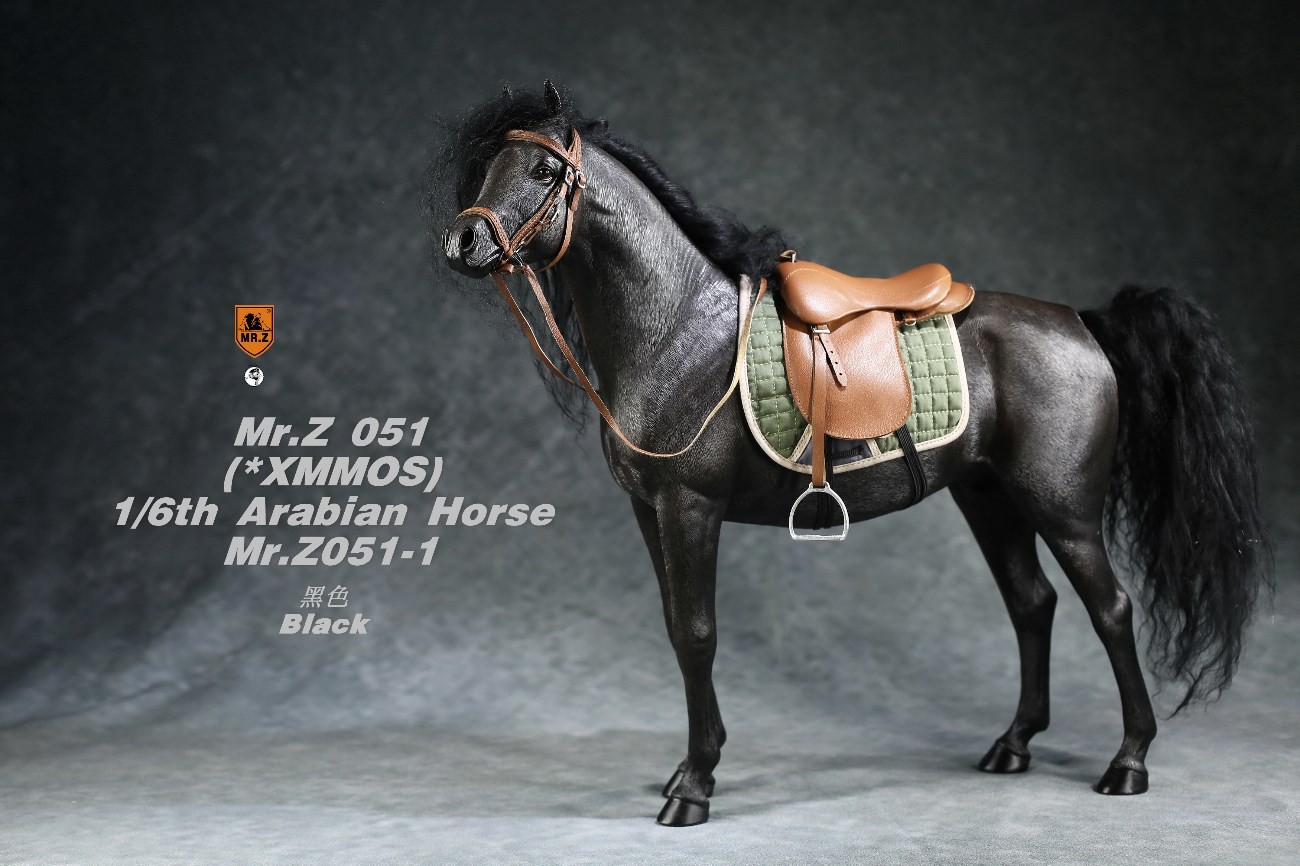 [สั่งจอง]Mr.Z MRZ051 1/6 animal model : Arabian Horse