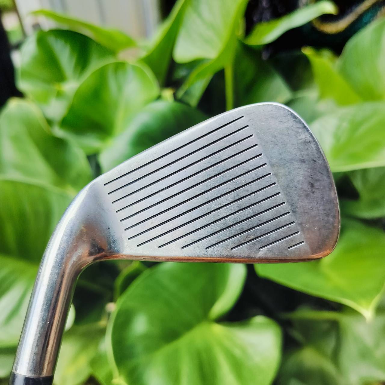 เหล็ก 2 Titleist 981 DCI ก้าน RILFLE 5.5 ก้านดีมาก เหล็ก 2 หายาก รุ่นนี้ตีคม ตีมันส์ และมี CAVITY ตีโดนได้ไม่ยากนัก สายบู๊ต้องมี ไม้กอล์ฟพรีเมี่ยมมือสอง ของแท้ By NakaraLuxurious
