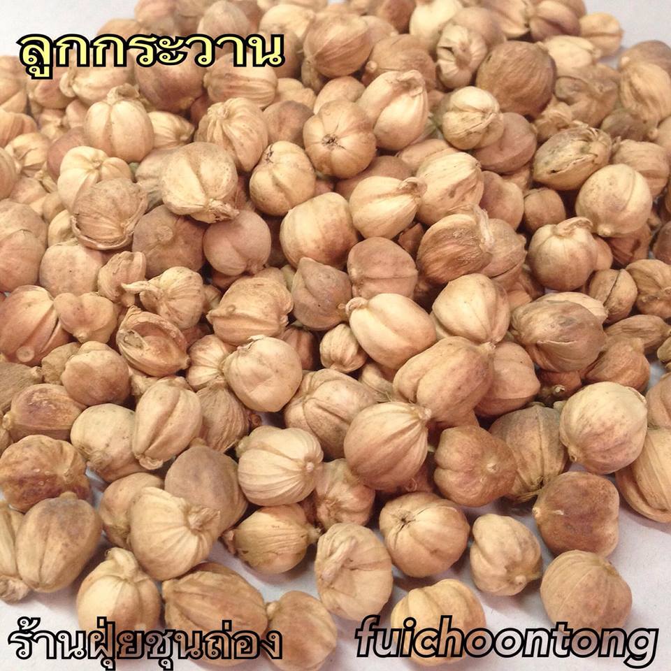 ลูกกระวาน