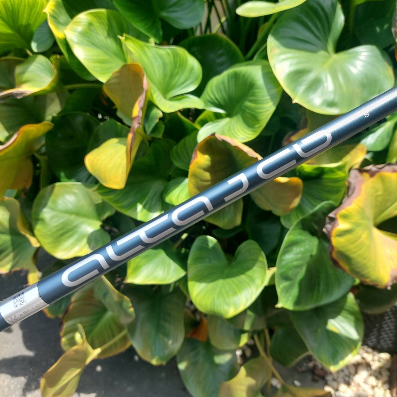 Driver PING G410 SFT ขจัด Slice และตีตรงด้วยเทคโนโลยีระดับพรีเมียม