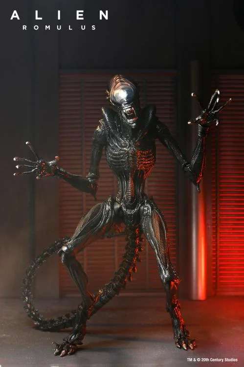 [สั่งจอง] Neca : Alien - Romulus