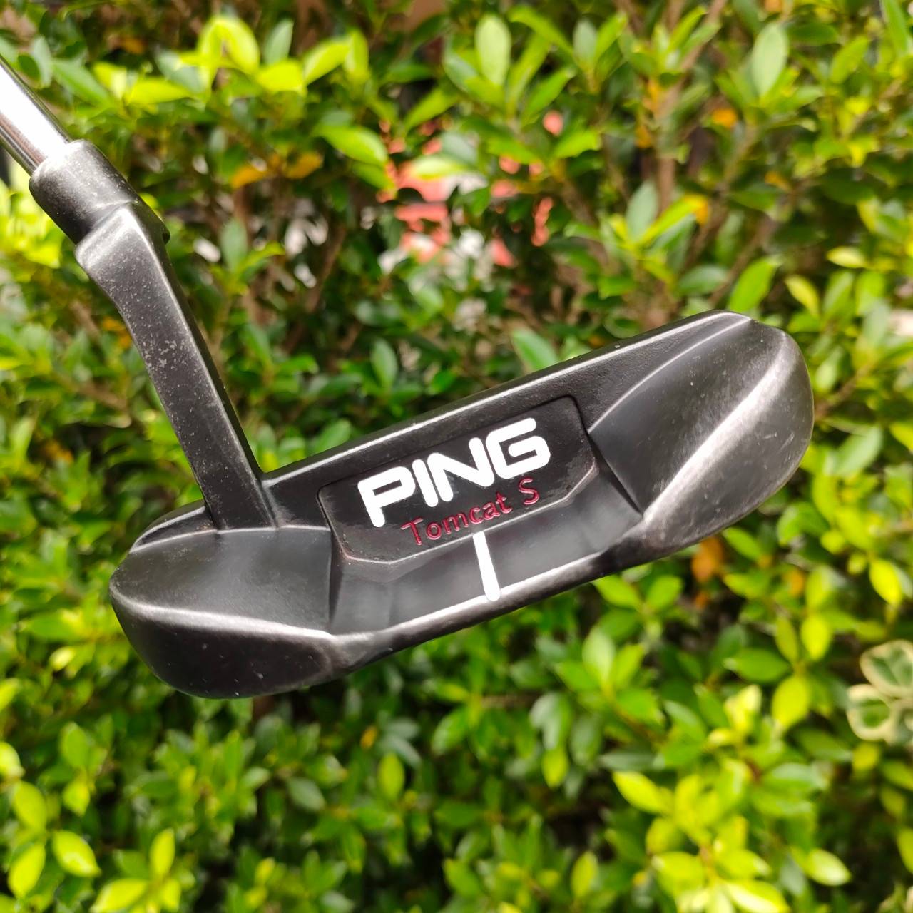 PUTTER PING SCOTTSDALE TR Tomcat S ความยาว 34 นิ้ว สุดยอดคุณภาพ พัตต์ดีมากๆครับ