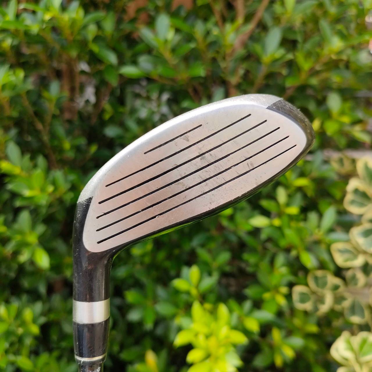 FW 9 TOUR FIELD องศา 24 ก้าน M-WEST COMP-SHAFT HMC ตีง่าย ๆท่านที่ตีเหล็กยาวไม่ได้ มีติดถุงไว้ เล่นได้หลายช๊อตแน่นอน