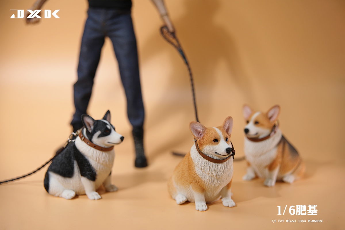 [สั่งจอง]JXK 1/6 : Fat Welsh Corgi Pembroke