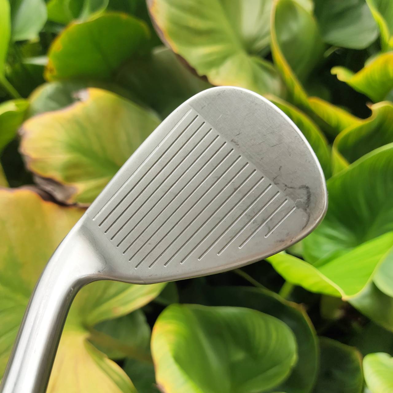 เหล็ก 9 เด็ก TAYLORMADE BURNER ก้าวแรกสู่วงสวิงแบบโปร ด้วยอุปกรณ์คุณภาพจาก TaylorMade!