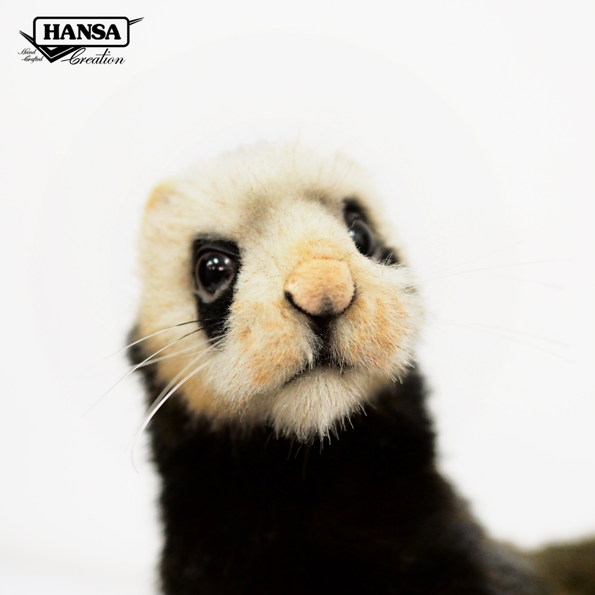 7827 European Polecat 41 cm. L