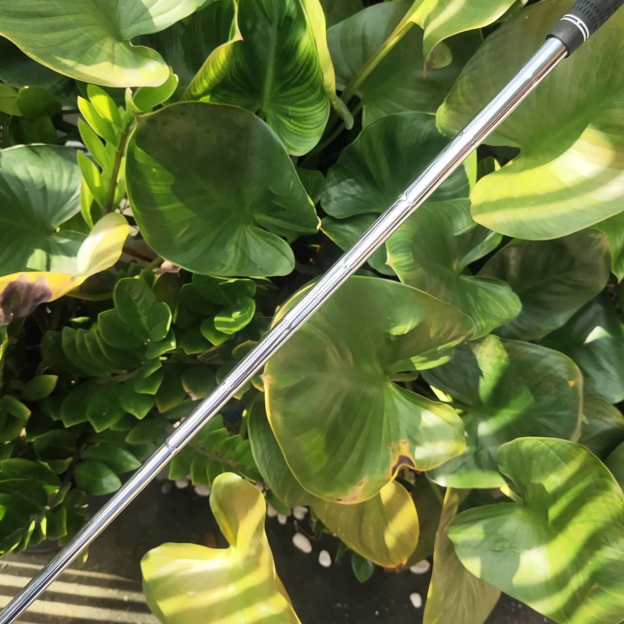 WEDGE EXCEED GOLD หน้าตะไบ องศา 56 ตกหยุดถอยๆ โหดมาก!!! วัสดุพรีเมี่ยม สีทอง สวยงามและหรูหรามาก!!!