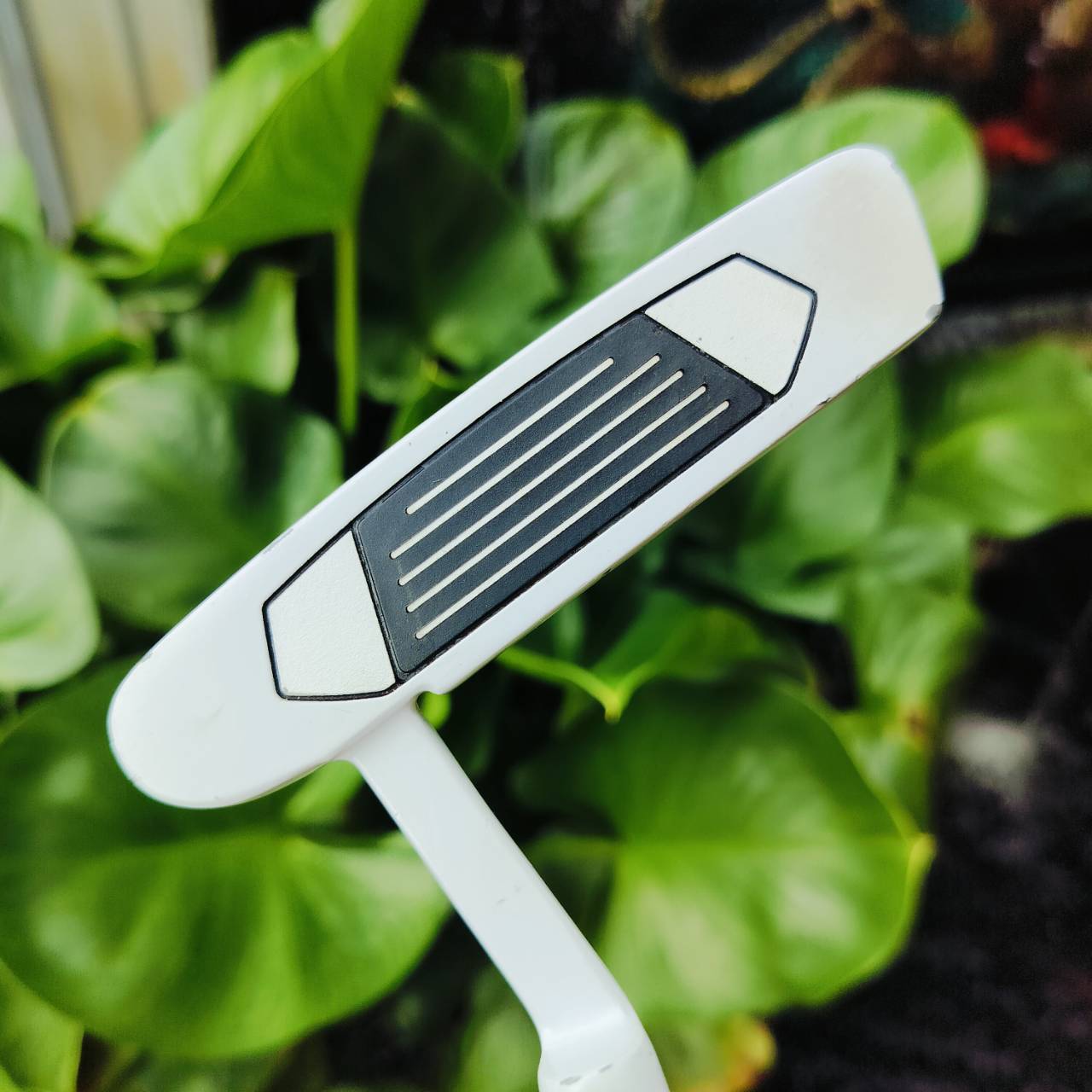 PUTTER MODEL1245 ความยาวก้าน 33 นิ้ว พัตต์ดีมากๆ นิ่งมากๆ ด้วยการวางหมุดน้ำหนัก ไว้ทั้งด้านบน และล่าง เหมือนกับ CAMERON หน้าสัมผัสยังช่วยเกาะไลน์มาก ไม้กอล์ฟพรีเมี่ยมมือสอง ของแท้ By NakaraLuxurious