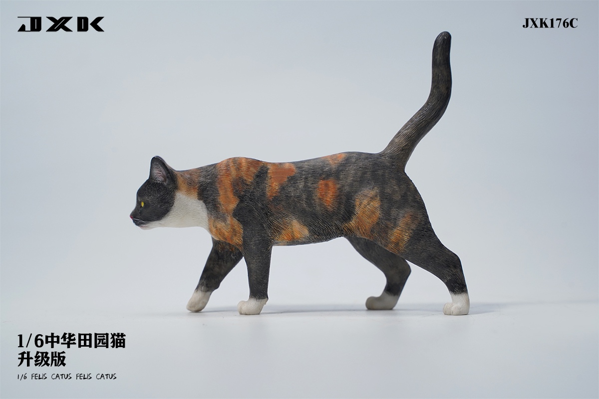 [สั่งจอง] JXK JXK176 1/6 : Felis Catus