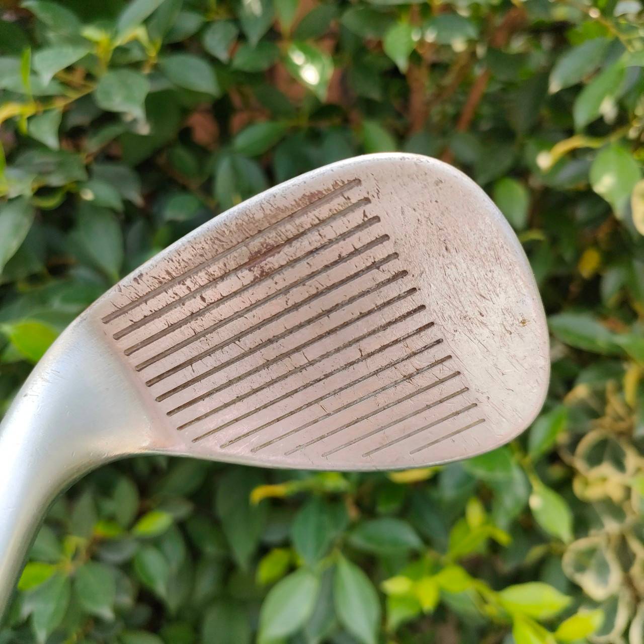 WEDGE CLEVELAND CG11 องศา 58 ก้าน DYNAMIC GOLD S300 เปลี่ยนกริพ IOMIC กระชับมาก สองจุด Standard Bounce