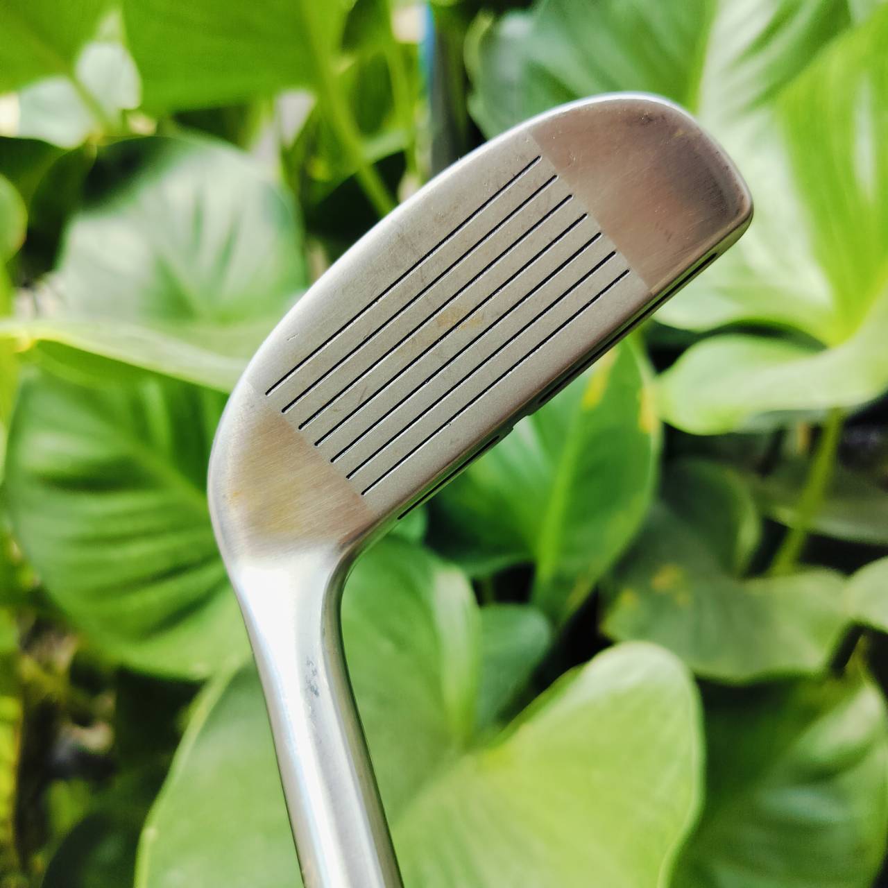 CHIPPER PERRYGEAR PRO เป็นการวางน้ำหนักแบบ TOE HEEL สองจุดสุดบล๊านซ์เลยค่ะ เล่นข้างกรีน ชิพแอนด์รันเล็งไลน์ดีๆ ไม้กอล์ฟพรีเมี่ยมมือสอง ของแท้ By NakaraLuxurious