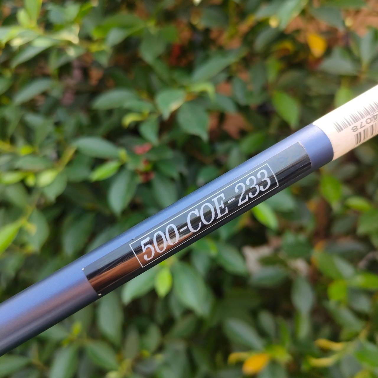 ** ไม้กอล์ฟสำหรับผู้หญิง ** เหล็ก 7 HONMA TWIN MARKS AP-301 MRS ก้าน ACCELERATE FORCE FLEX L