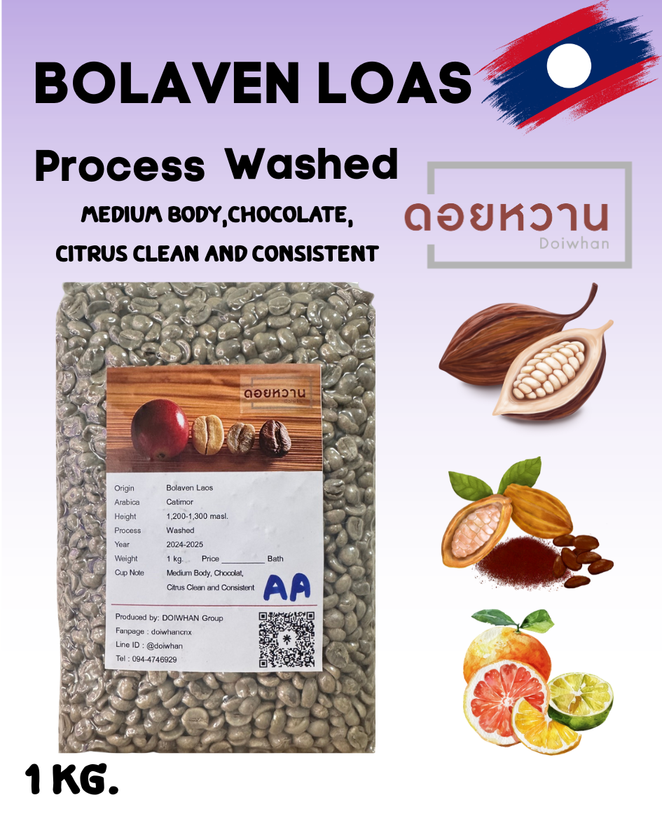 เมล็ดสารกาแฟอาราบิก้า โบลาเวน ประเทศลาว เกรด AA