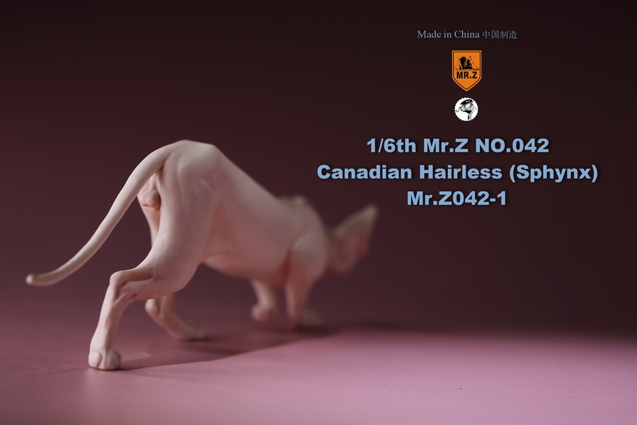 [สั่งจอง]แมวสฟิงก์ แมวน้อยขนกลับด้าน 1/6 Mr. Z Animal Model No.42: 1/6th Canadian Hairless (Sphynx)