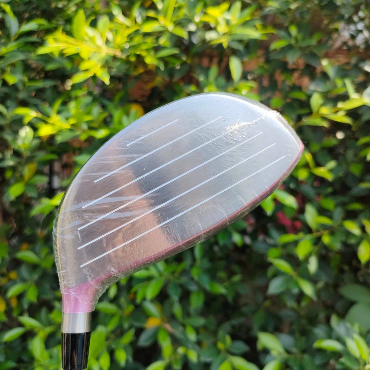 ** ไม้กอล์ฟสำหรับผู้หญิง ** FULLSET MIZUNO EFIL LADY *** สภาพสวยมากๆหลายไม้ยังไม่แกะพลาสติก *** ทั้งชุดประกอบด้วย Driver Fairway Hybrid เหล็ก 7 8 9 เเละ PW SW PUTTER EFIL ใหม่ในซีล พร้อมถุงกอล์ฟ MIZUNO ทั้งชุดพร้อมออกรอบได้เลย ไม้สุดพรีเมี่ยม จากญี่ปุ่น ด