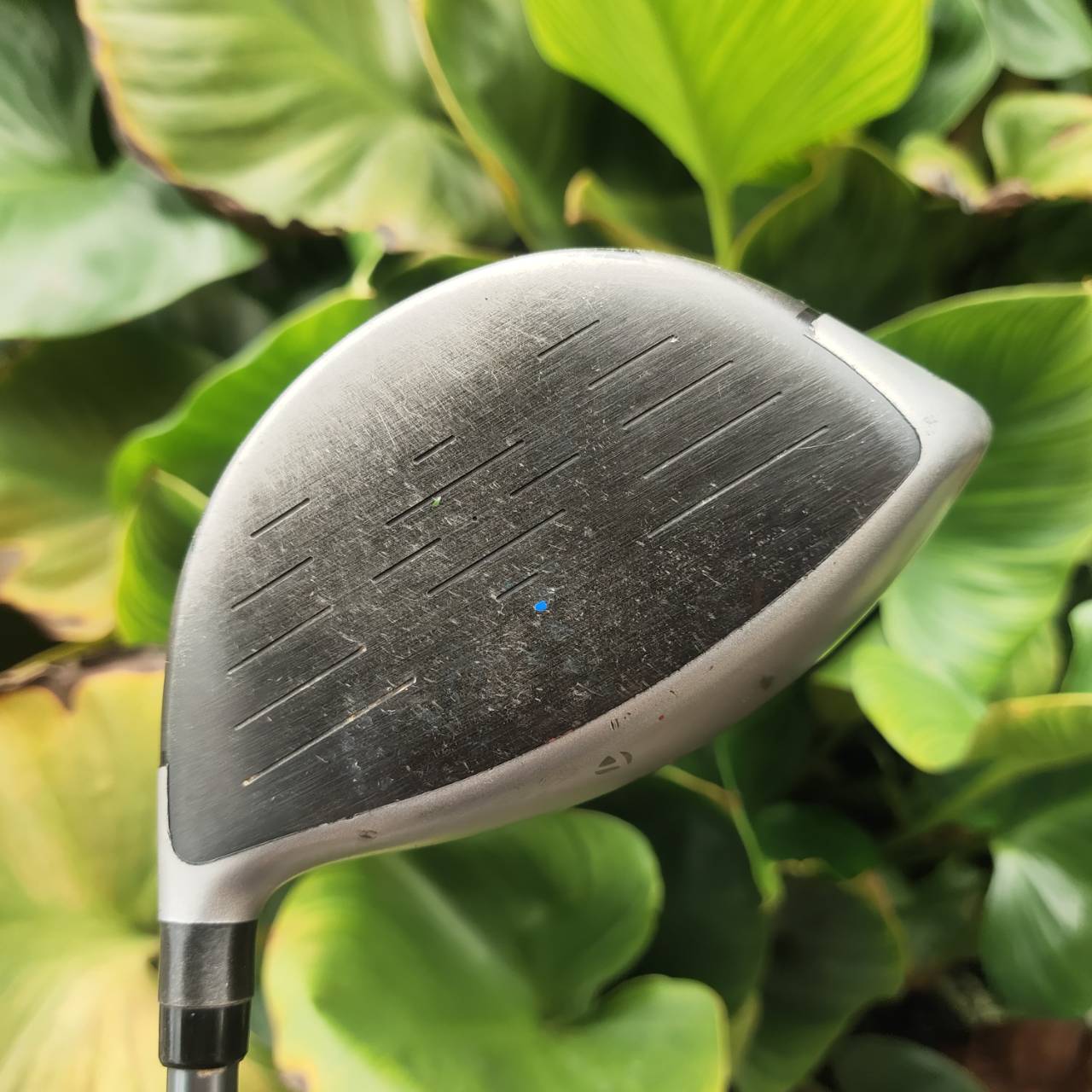 Driver Taylormade SLDR 460 S ระยะเพิ่มจริง จูนได้ตามสไตล์คุณ!